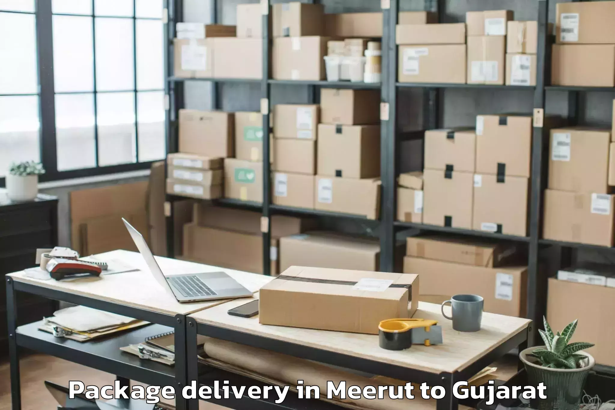 Easy Meerut to Kadana Package Delivery Booking